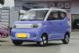 2024年1-10月轿车销量排行榜 微型车销量排名